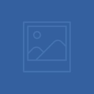 Read more about the article Rebecca Shin Khee Lee